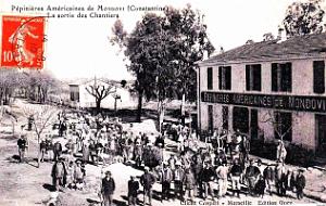 1196- Mondovi - Les Pepinieres americaines